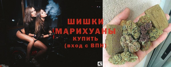 spice Пестово